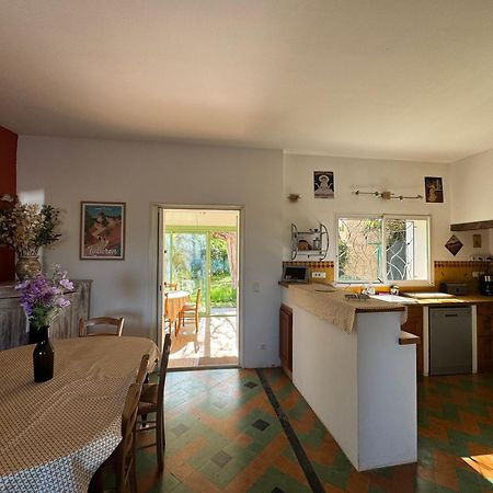 La Boissetane, Maison Provencale Avec Piscine Et Jardin, Au Pied Du Luberon Saint-Martin-de-Castillon Εξωτερικό φωτογραφία