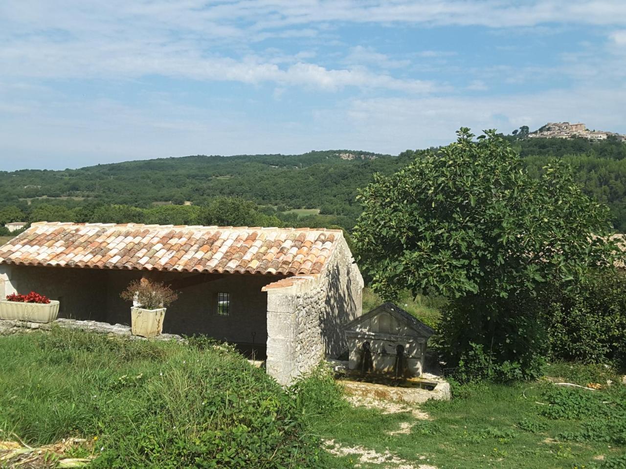 La Boissetane, Maison Provencale Avec Piscine Et Jardin, Au Pied Du Luberon Saint-Martin-de-Castillon Εξωτερικό φωτογραφία